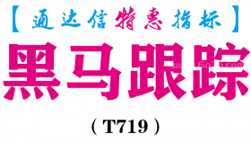 【通达信指标】黑马跟踪-副图指标公式（T719）