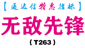 【通达信指标】无敌先锋-副图指标公式（T263）