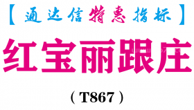 【通达信指标】红宝丽跟庄-副图指标公式（T867）