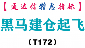 【通达信指标】黑马建仓起飞-主图指标公式（T172）