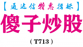 【通达信指标】傻子炒股-副图指标公式（T713）