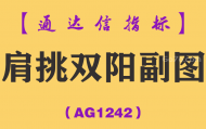 [AG1242]肩挑双阳副图-通达信指标公式-经典版+进化版预警