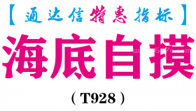 【通达信指标】海底自摸-副图指标公式（T928）