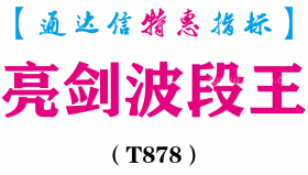 【通达信指标】亮剑波段王-副图指标公式（T878）
