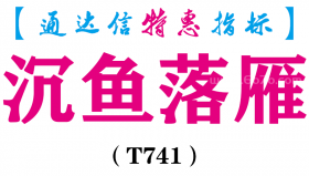 【通达信指标】沉鱼落雁-副图指标公式（T741）
