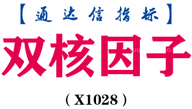 【通达信指标】双核因子-副图指标公式（X1028）