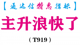 【通达信指标】主升浪快了-副图指标公式（T919）