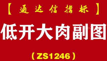 [ZS1246]低开大肉副图-通达信指标公式