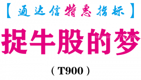 【通达信指标】捉牛股的梦-副图指标公式（T900）