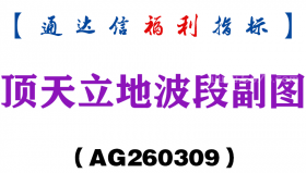 [AG260309]顶天立地波段副图－通达信指标源码分享