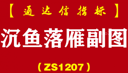 [ZS1207]沉鱼落雁副图-通达信指标公式