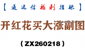 [ZX260218]开红花买大涨副图－通达信指标源码分享