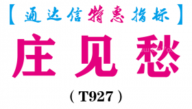 【通达信指标】庄见愁-副图指标公式（T927）