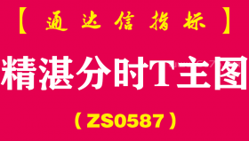 [ZS0587]精湛分时T主图-通达信指标公式