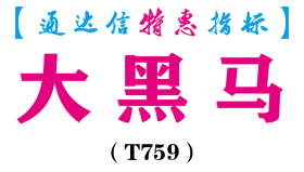 【通达信指标】大黑马-副图指标公式（T759）