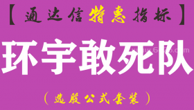 【通达信指标】环宇敢死队-副图指标公式（手机+电脑）