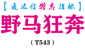 【通达信指标】野马狂奔-副图指标公式（T543）
