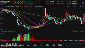 【通达信手机指标】主力面面观-副图指标公式（电脑可用）