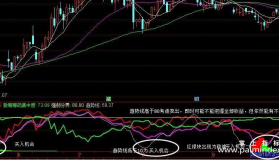 【通达信源码分享】【个人珍藏】 抓住主力脉搏，完整版主力洗盘副图