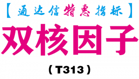 【通达信指标】双核因子-副图指标公式（T313）