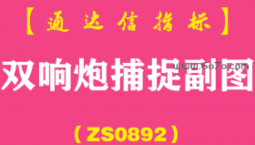 [ZS0892]双响炮捕捉副图-通达信指标公式