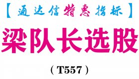 【通达信指标】梁队长选股-副图指标公式（T557）