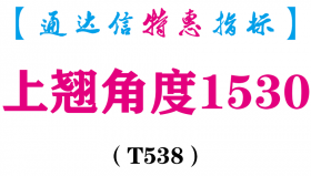 【通达信指标】上翘角度1530-副图指标公式（T538）