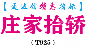 【通达信指标】庄家抬轿-副图指标公式（T925）