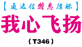 【通达信指标】我心飞扬-副图指标公式（T346）