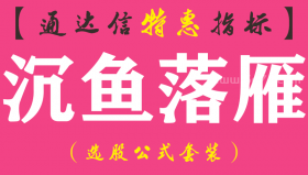 【通达信指标】沉鱼落雁-副图指标公式