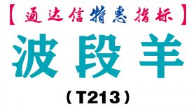 【通达信指标】波段羊-副图指标公式（T213）