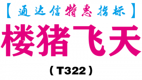 【通达信指标】楼猪飞天-副图指标公式（T322）
