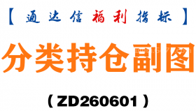 [ZD260601]分类持仓副图－通达信指标源码分享