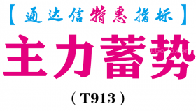 【通达信指标】主力蓄势-副图指标公式（T913）