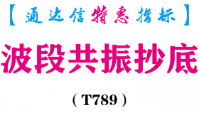 【通达信指标】波段共振抄底-副图指标公式（T789）