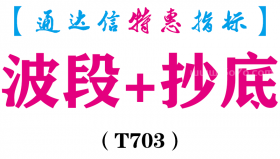 【通达信指标】波段+抄底-副图指标公式（T703）