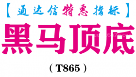 【通达信指标】黑马顶底-副图指标公式（T865）