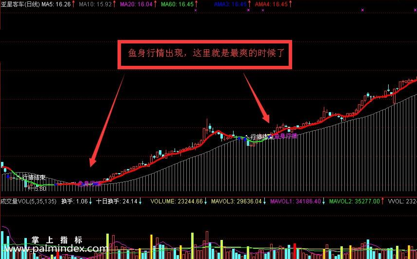 【通达信指标】鱼身行情-主图选股指标公式（手机+电脑）